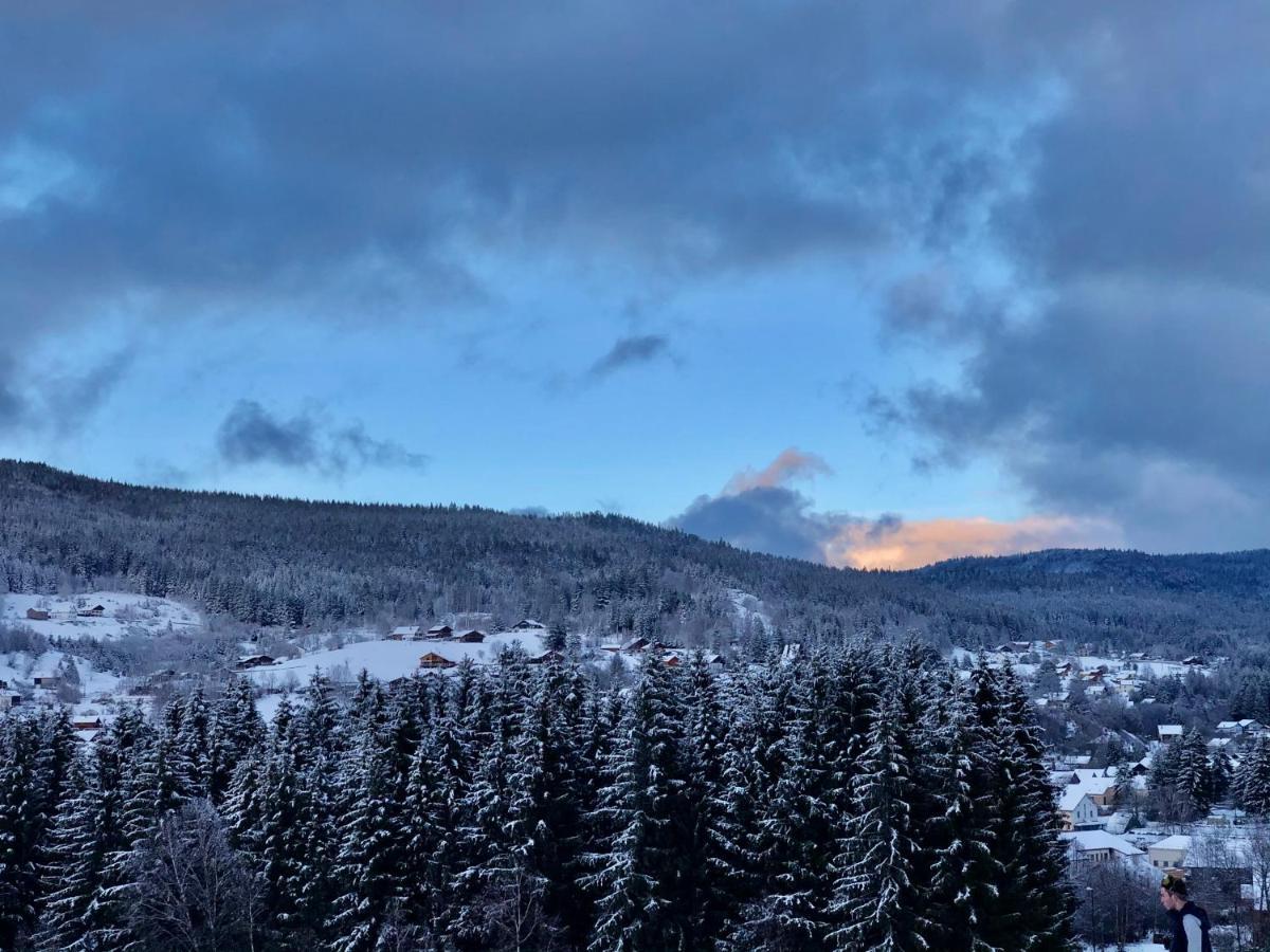 זונרופט-לונז'מר Le Bois Des Neiges Charmant Chalet Authentique A 5 Mn De Gerardmer מראה חיצוני תמונה