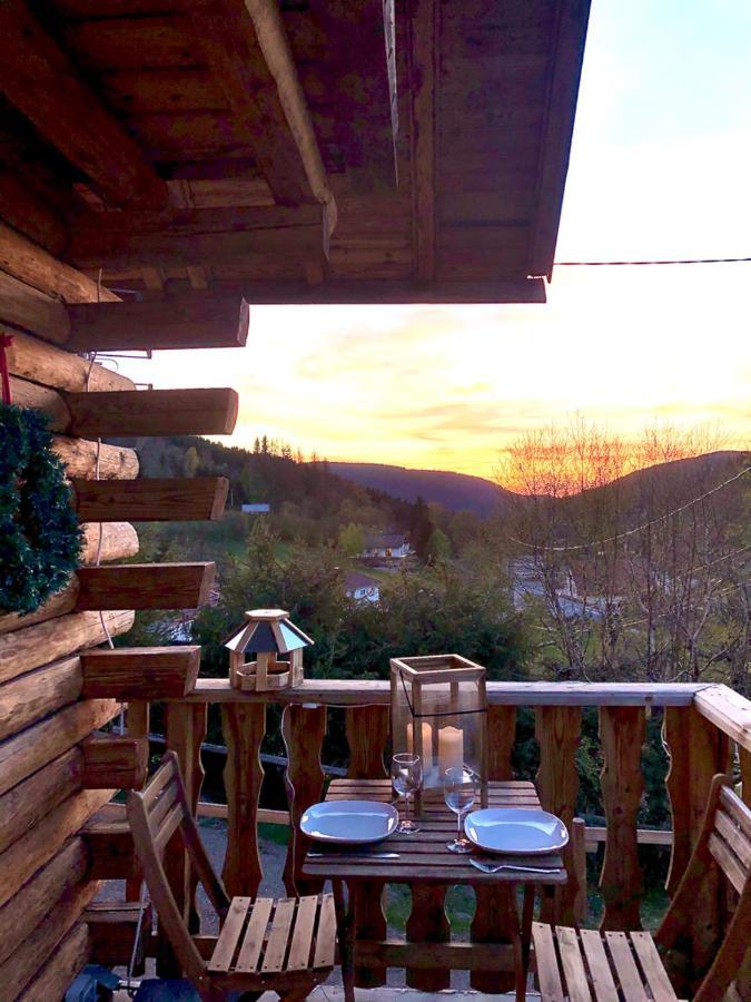 זונרופט-לונז'מר Le Bois Des Neiges Charmant Chalet Authentique A 5 Mn De Gerardmer מראה חיצוני תמונה