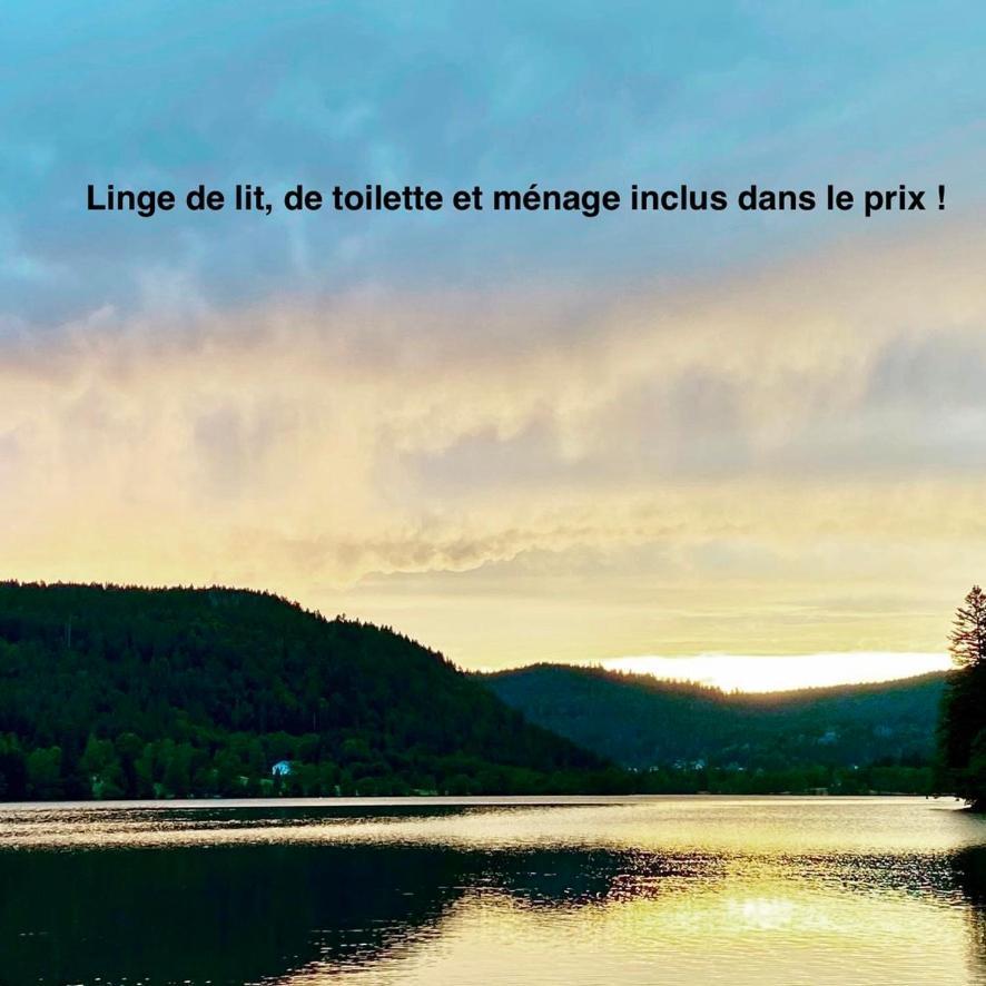 זונרופט-לונז'מר Le Bois Des Neiges Charmant Chalet Authentique A 5 Mn De Gerardmer מראה חיצוני תמונה